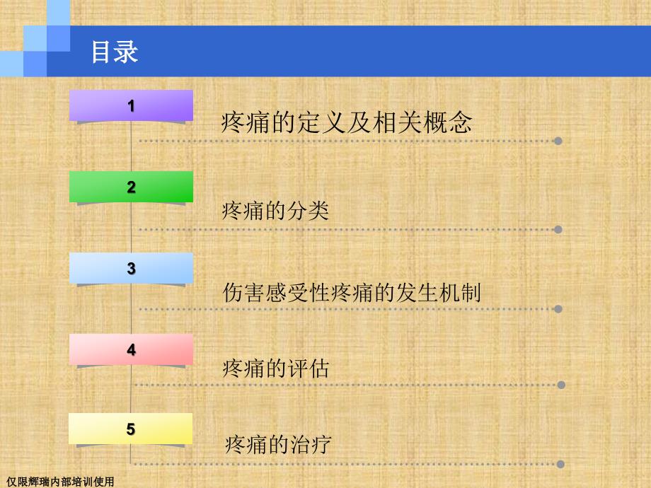 疼痛基础知识00564精编PPT课件_第2页