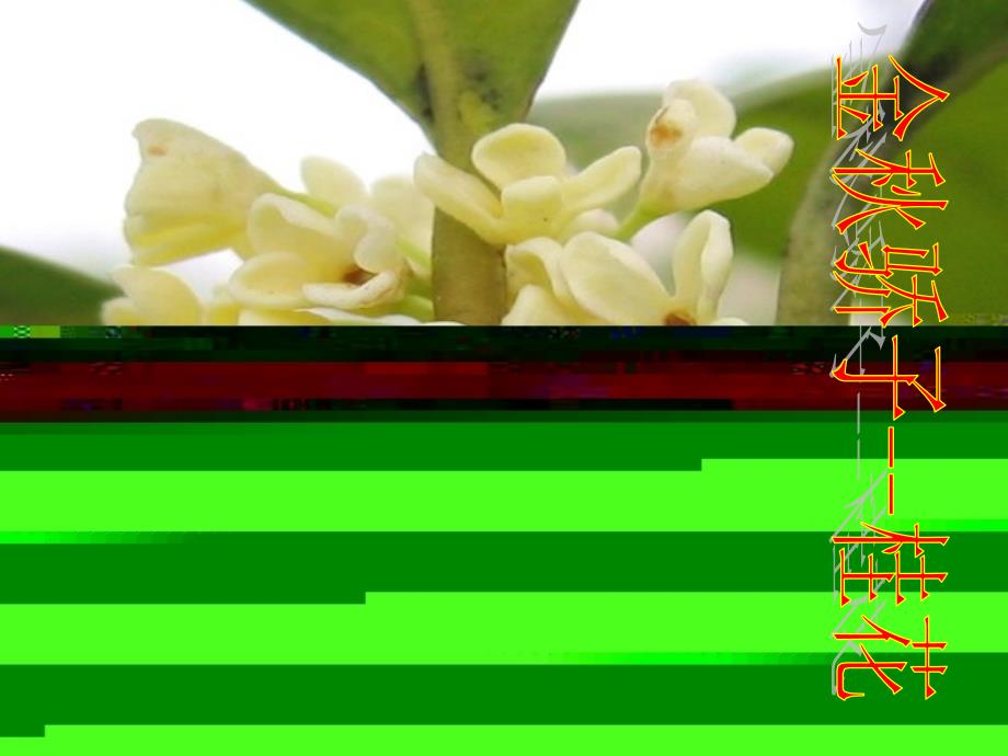 吉林省通榆县七年级生物上册2.2.3植物体的结构层次课件（新版）新人教版_第3页