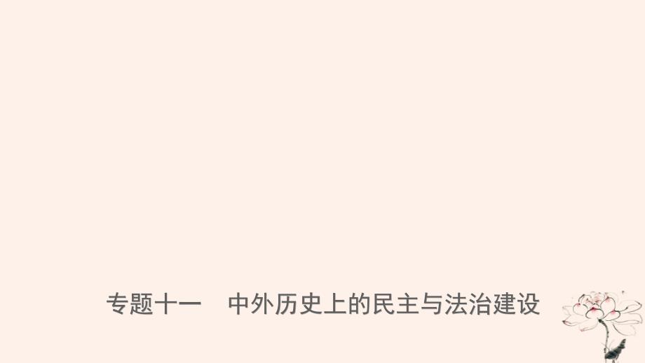 山东省济宁市中考历史专题复习专题十一中外历史上的民主与法治建设课件_第1页