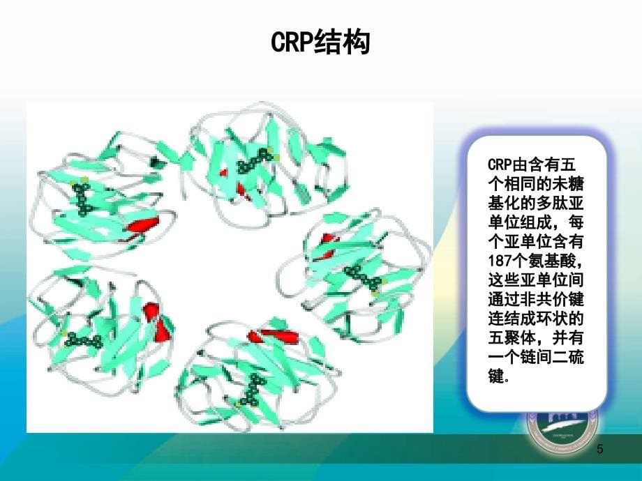 感染性疾病的炎症指标解读PPT参考幻灯片_第5页