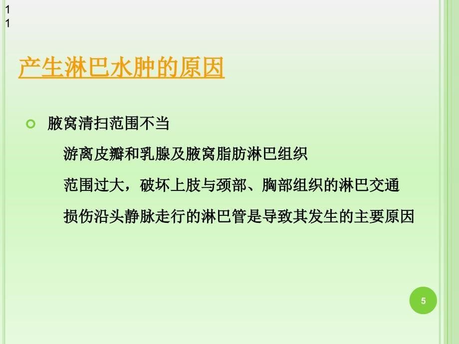 乳腺癌术后淋巴水肿的防治PPT参考幻灯片_第5页