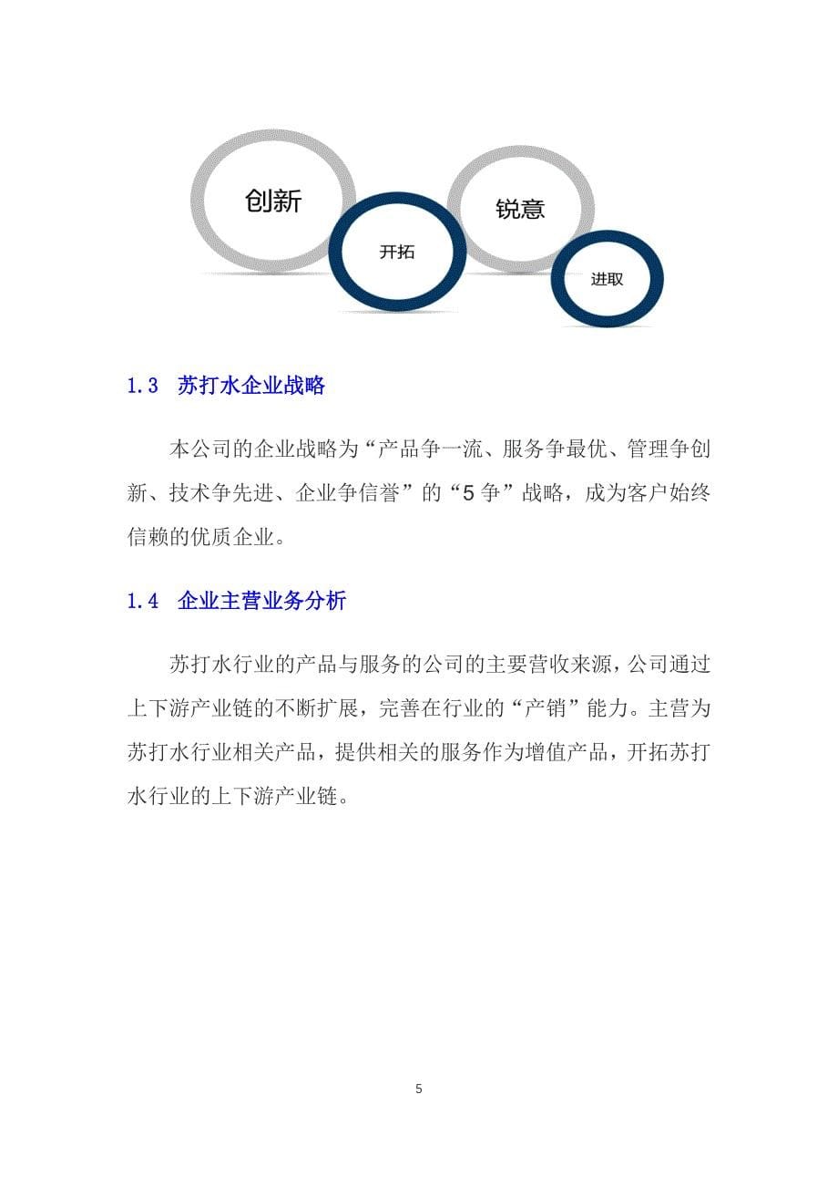 2020苏打水行业发展战略经营计划_第5页