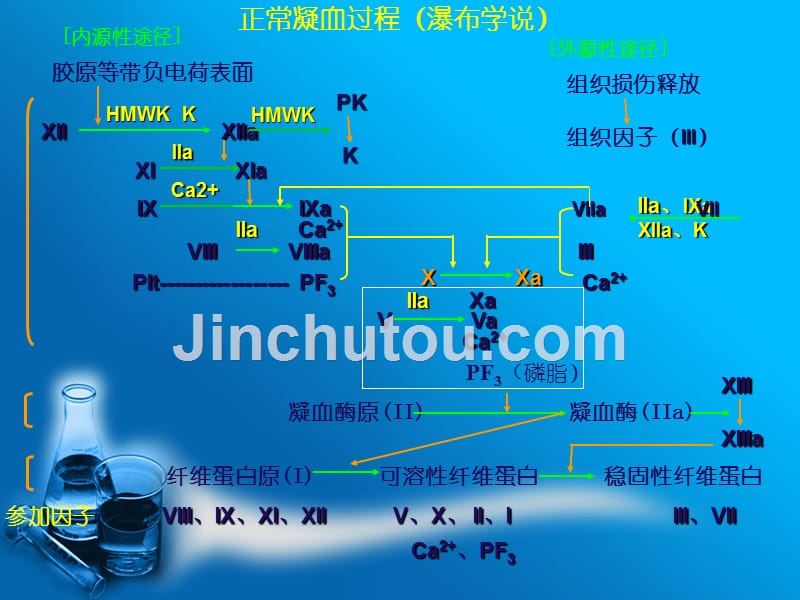 抗凝的药物精编PPT课件_第5页