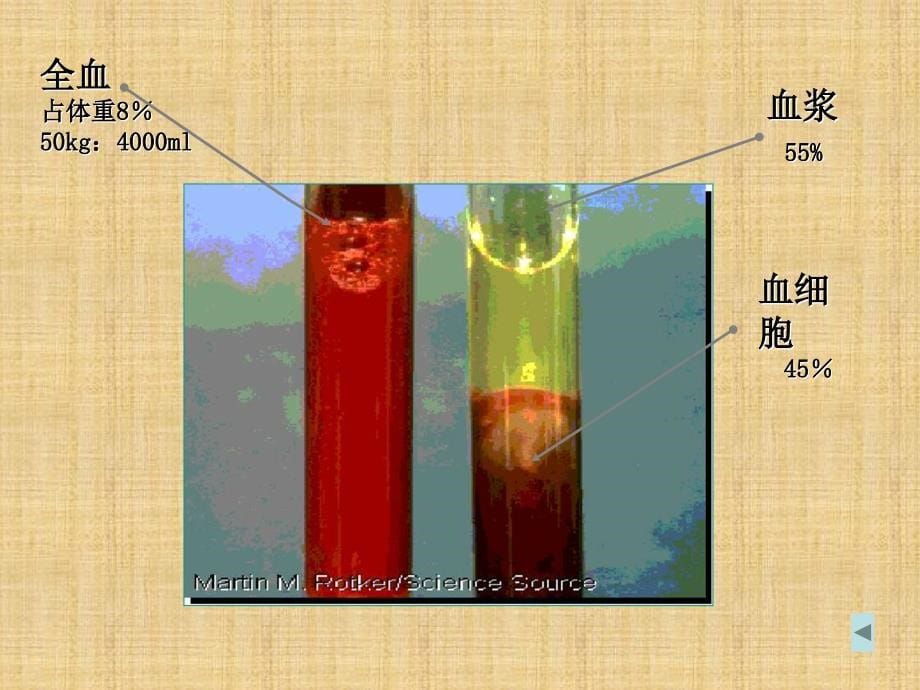 无偿献血课件精编PPT课件_第5页