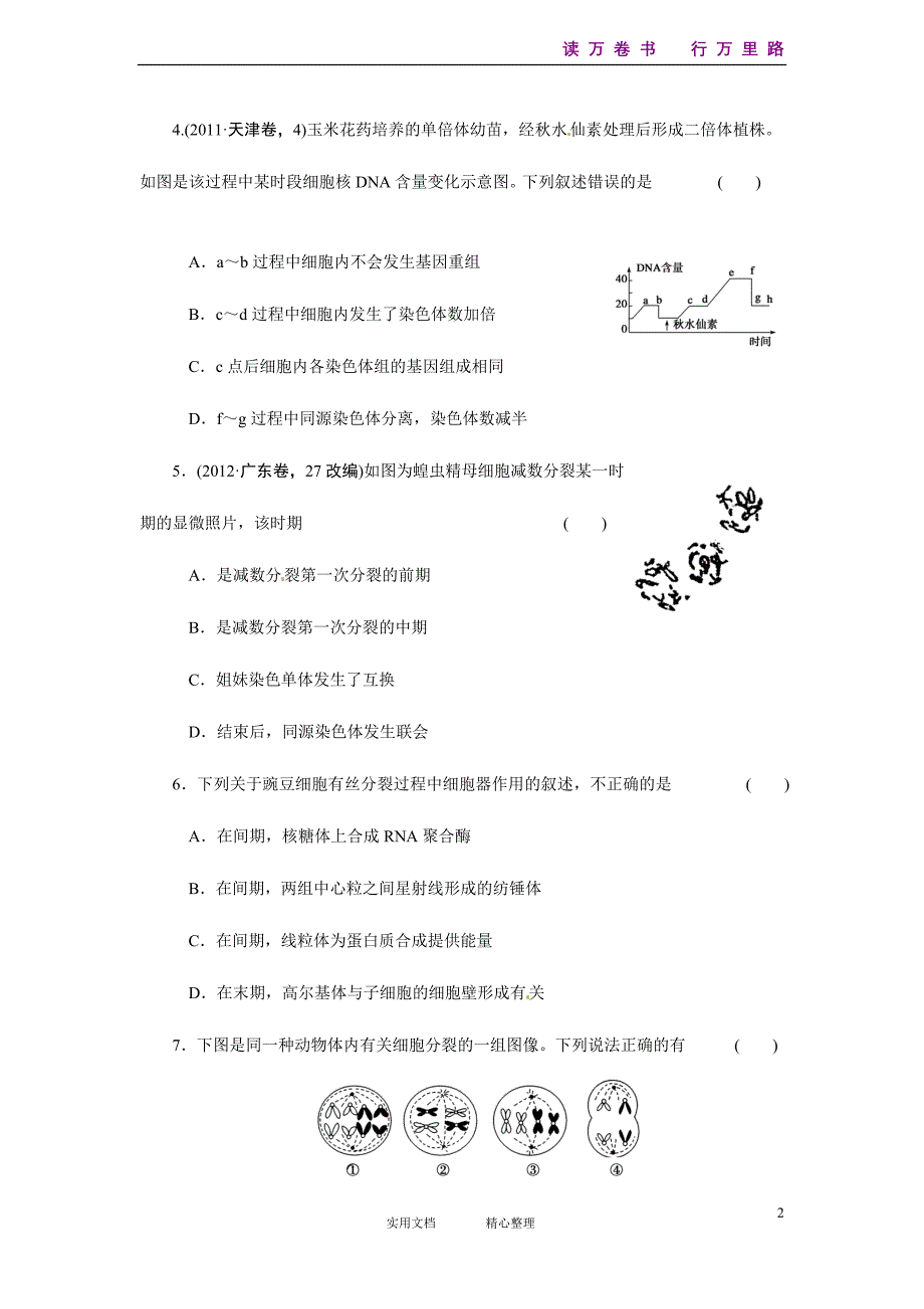 通用--高三生物二轮测试题：细胞分裂和受精作用_第2页