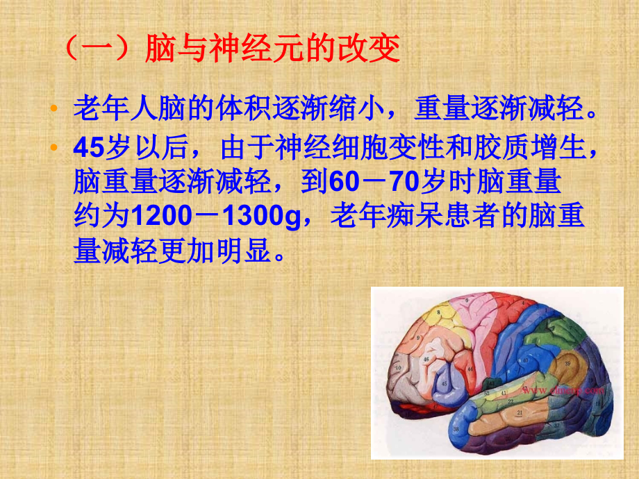 脑血管疾病病人护理精编PPT课件_第4页