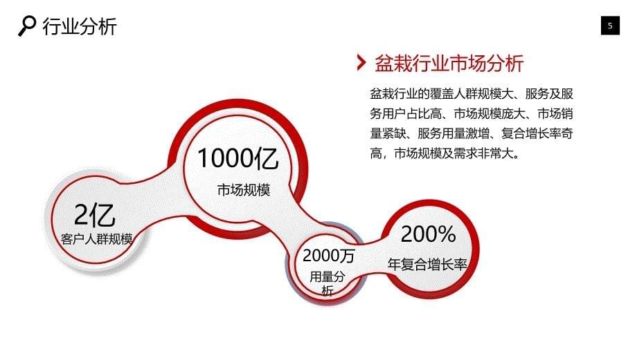 2020盆栽行业可行性研究报告_第5页