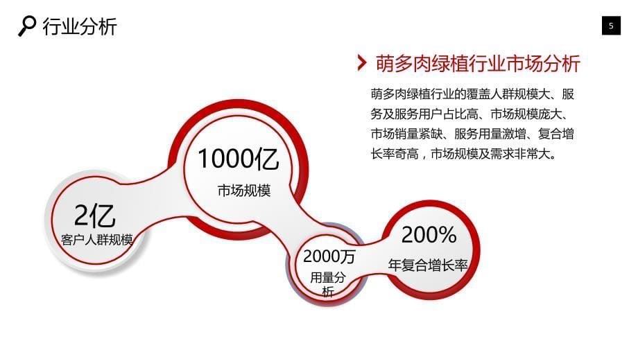 2020萌多肉绿植行业可行性研究报告_第5页