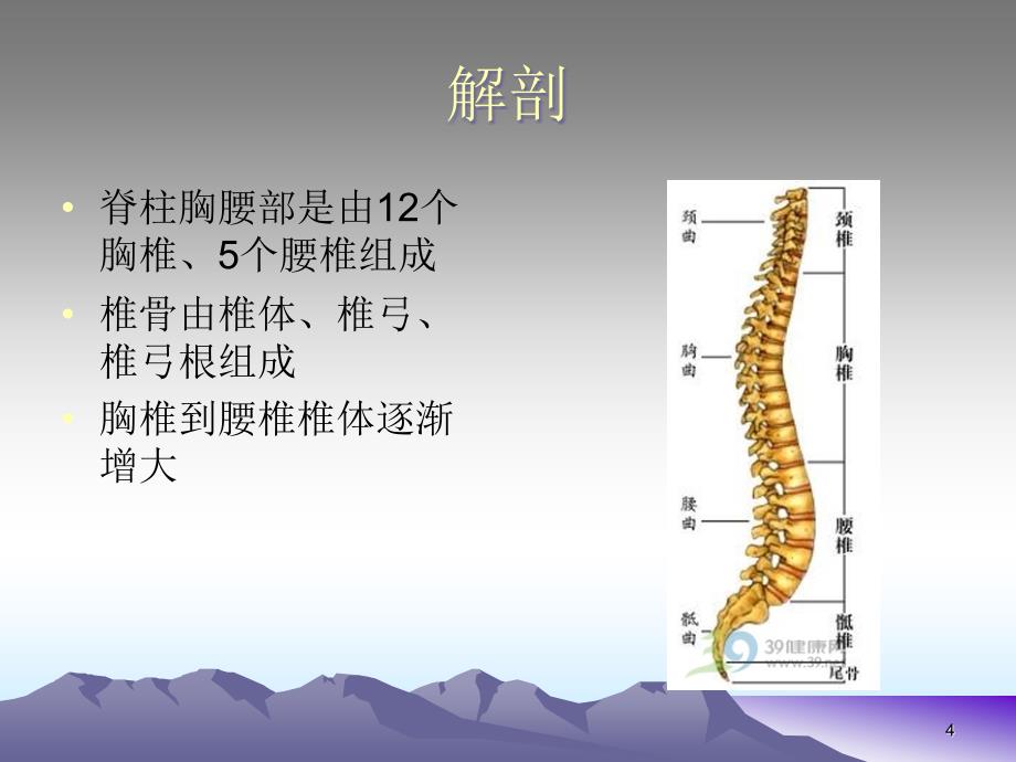 胸腰椎骨折的护理PPT参考幻灯片_第4页