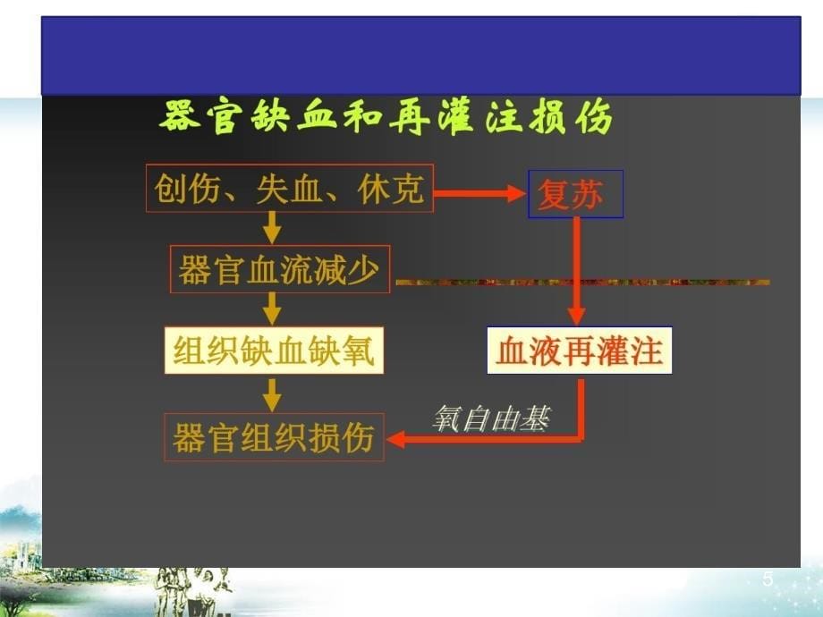 老年人多器官功能衰竭临床特征和防治进展PPT参考幻灯片_第5页