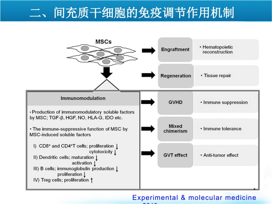 间充质干细胞的免疫调节作用及临床应用PPT参考幻灯片_第5页