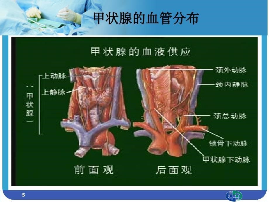 甲状腺肿物切除术配合PPT参考幻灯片_第5页