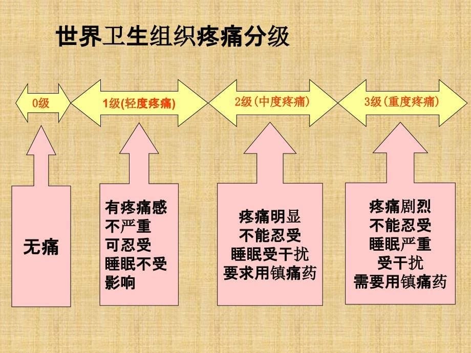 疼痛的评估及护理记录精编PPT课件_第5页