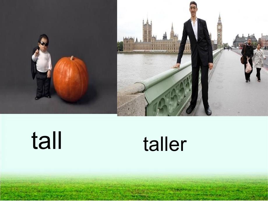 Unit1 How Tall Are You第一单元.ppt_第2页