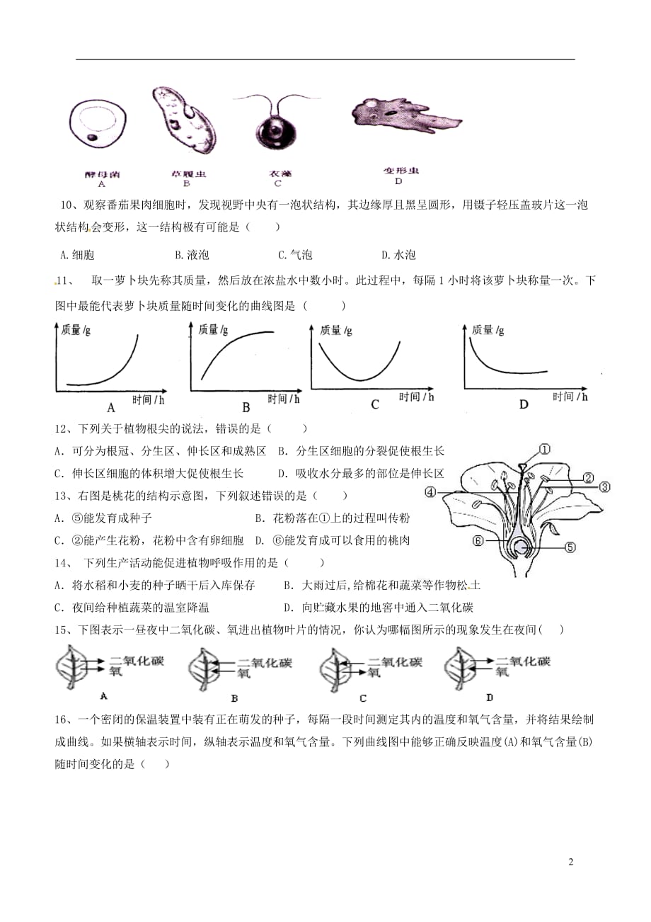 广东省阳东广雅学校七年级生物下学期期中试题新人教版_第2页