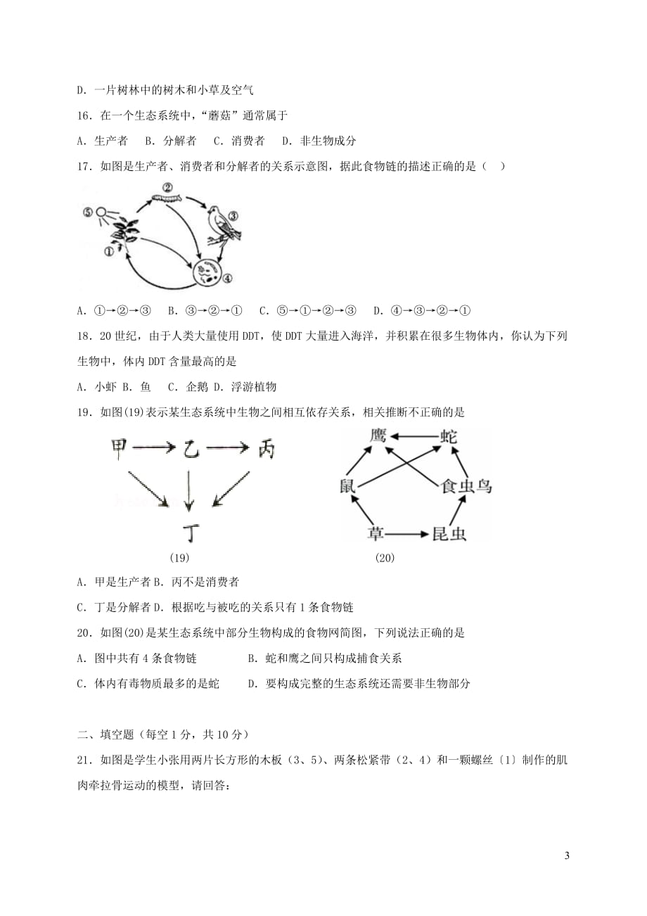 江苏省东台市第五联盟八年级生物上学期12月月考试题新人教版_第3页