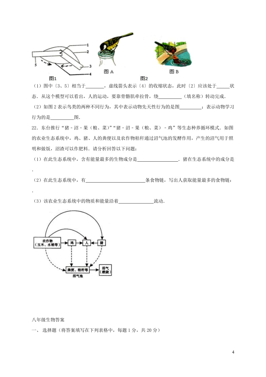 江苏省东台市第五联盟八年级生物上学期12月月考试题新人教版_第4页