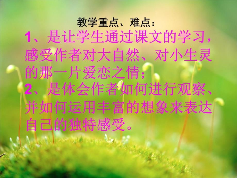 《草虫的村落》b课件h教学文案_第3页