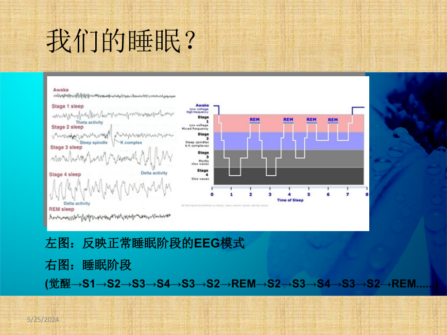 睡眠障碍及药物治疗策略孙俊伟.3.21精编PPT课件_第3页