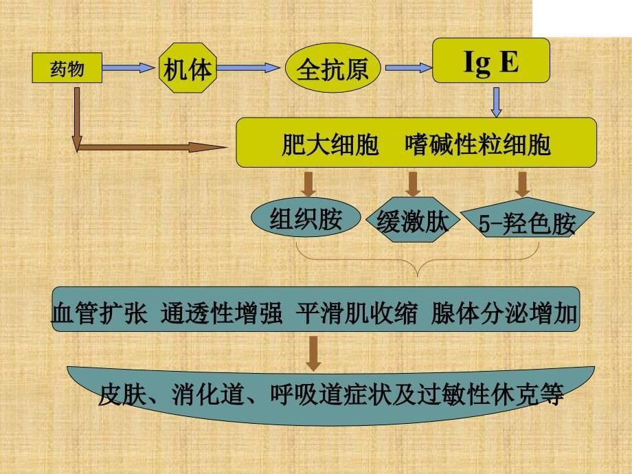 过敏性休克的急救 顾纪芳精编PPT课件_第5页