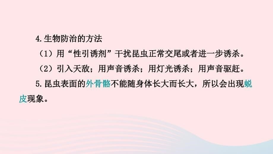 山东省潍坊市中考生物主题复习十四动物和人类的生殖与发育课件济南版_第5页