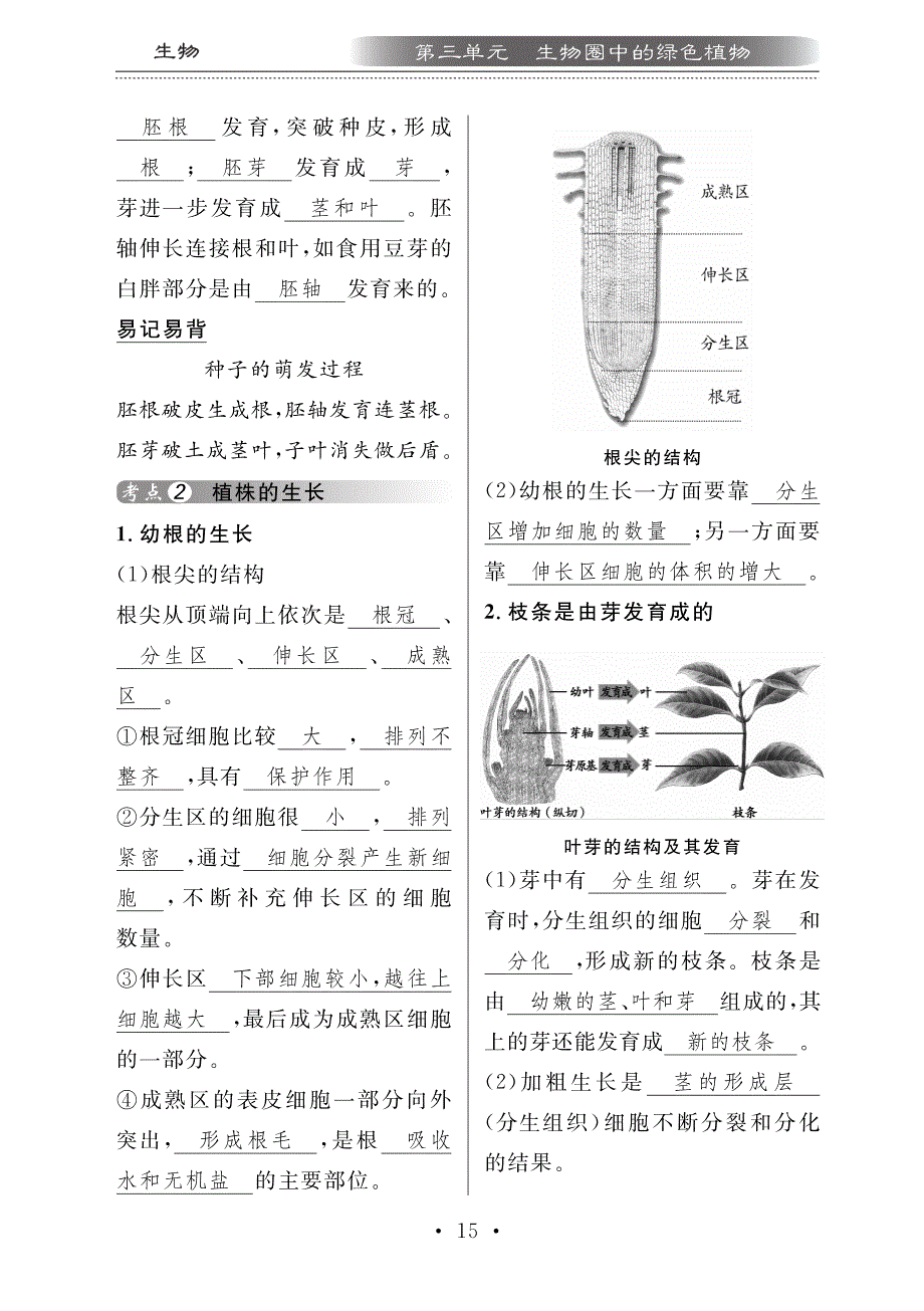 中考生物总复习第四部分生物圈中的绿色植物六绿色开花植物的一生知识梳理pdf 1.pdf_第2页