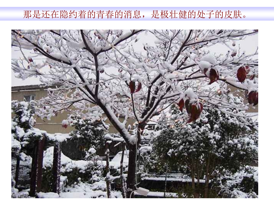 [名校联盟]山东省肥城市湖屯镇初级中学八年级语文下册《雪》课件_第2页