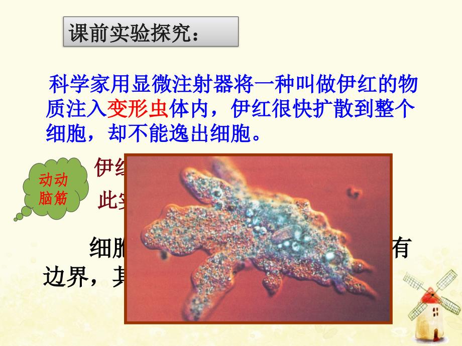 湖北省武汉市高中生物第三章细胞的基本结构3.1细胞膜——系统的边界课件新人教版必修1_第2页