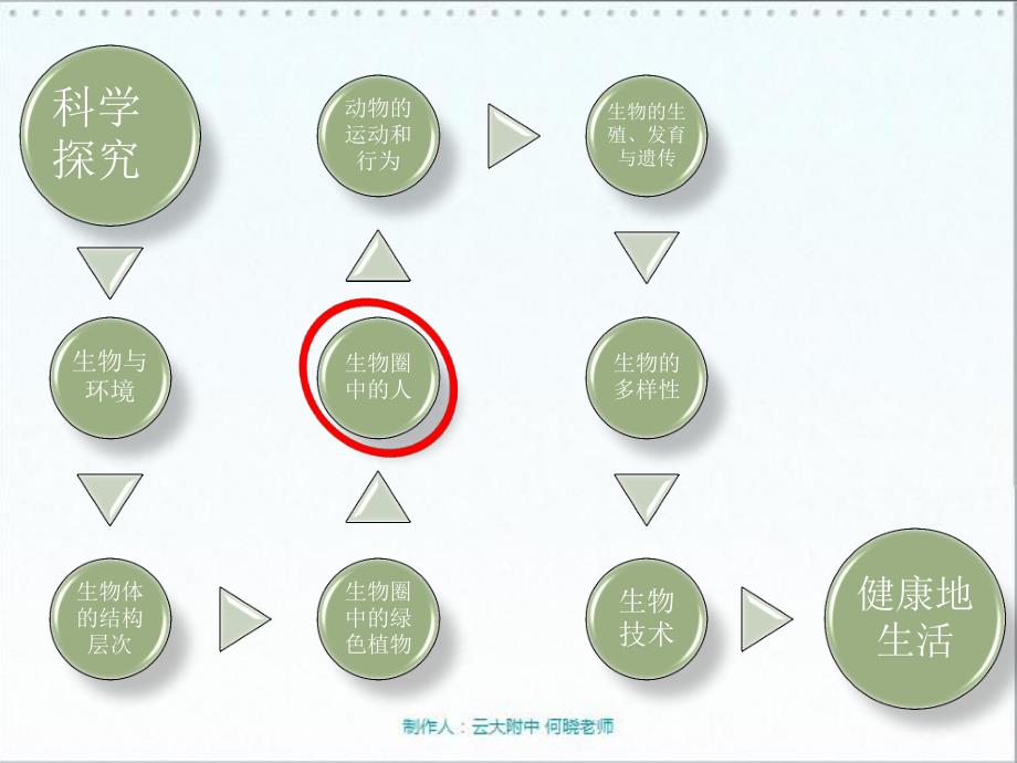 七级生物下册 人类的起源与发展pdf .pdf_第1页