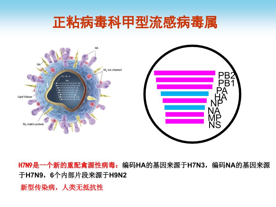 人感染H7N9禽流感诊疗方案及接诊流程PPT参考幻灯片_第3页