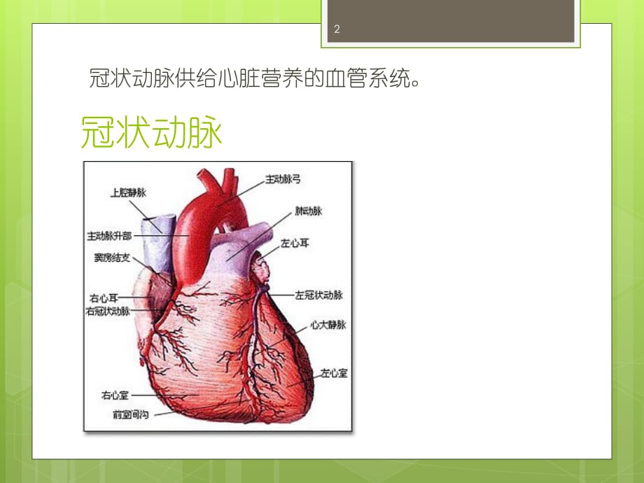 冠心病 PPTPPT参考幻灯片_第2页