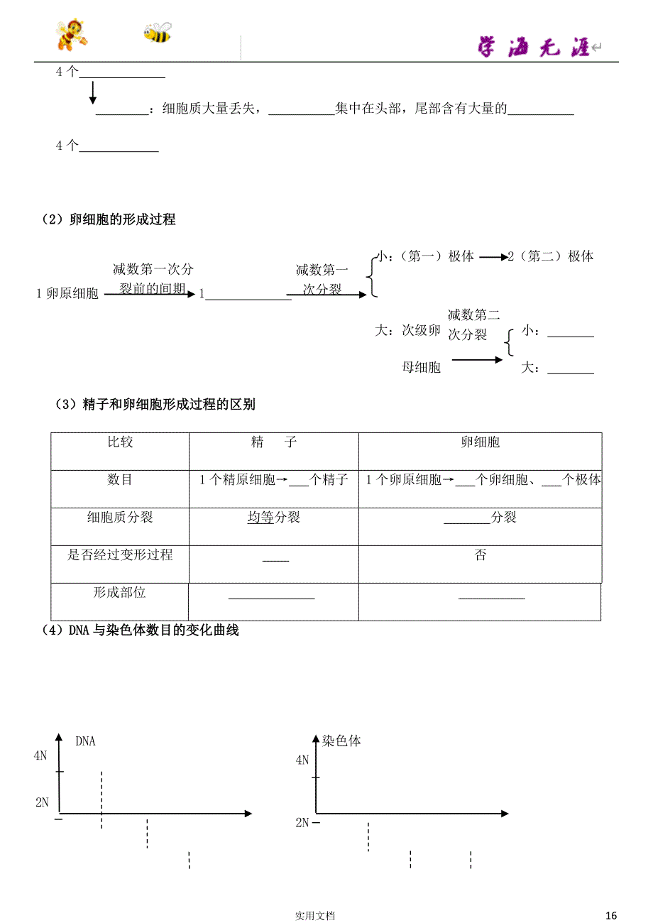 高中生物---学考复习默写10-减数分裂和受精作用_第2页