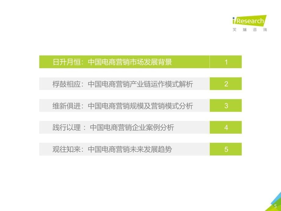 2020年中国电商营销市场研究报告_第5页