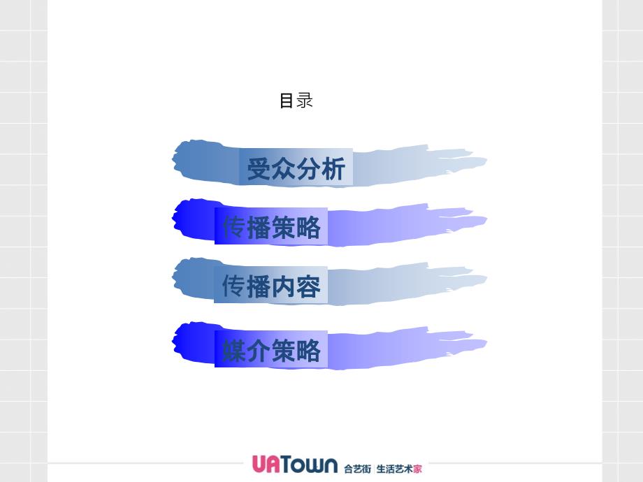 某town传播策略规划ppt课件_第2页