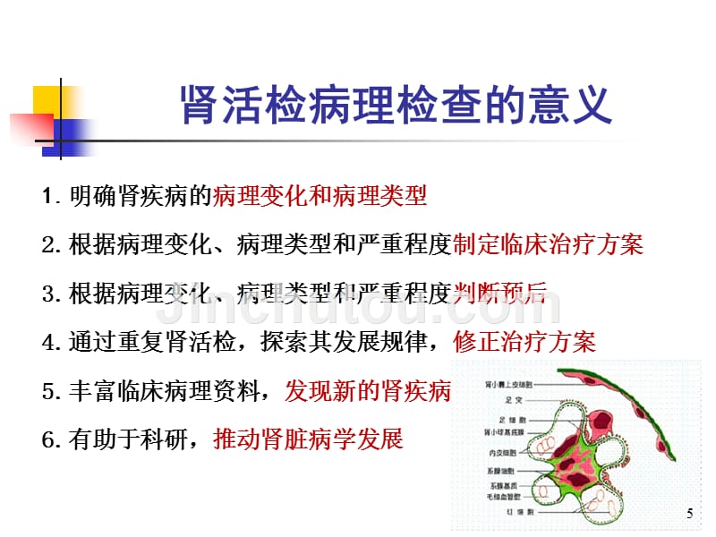 肾穿刺活检术的准备和操作方法PPT参考幻灯片_第5页