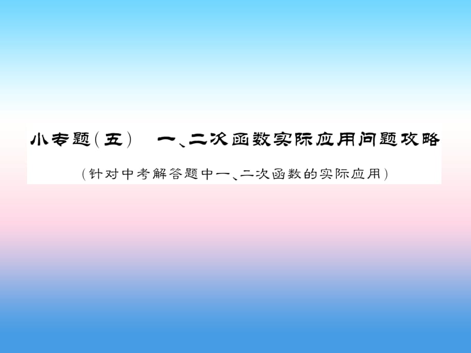 课标版通用中考数学总复习第二轮小专题集训题型专攻小专题五习题课件_第1页