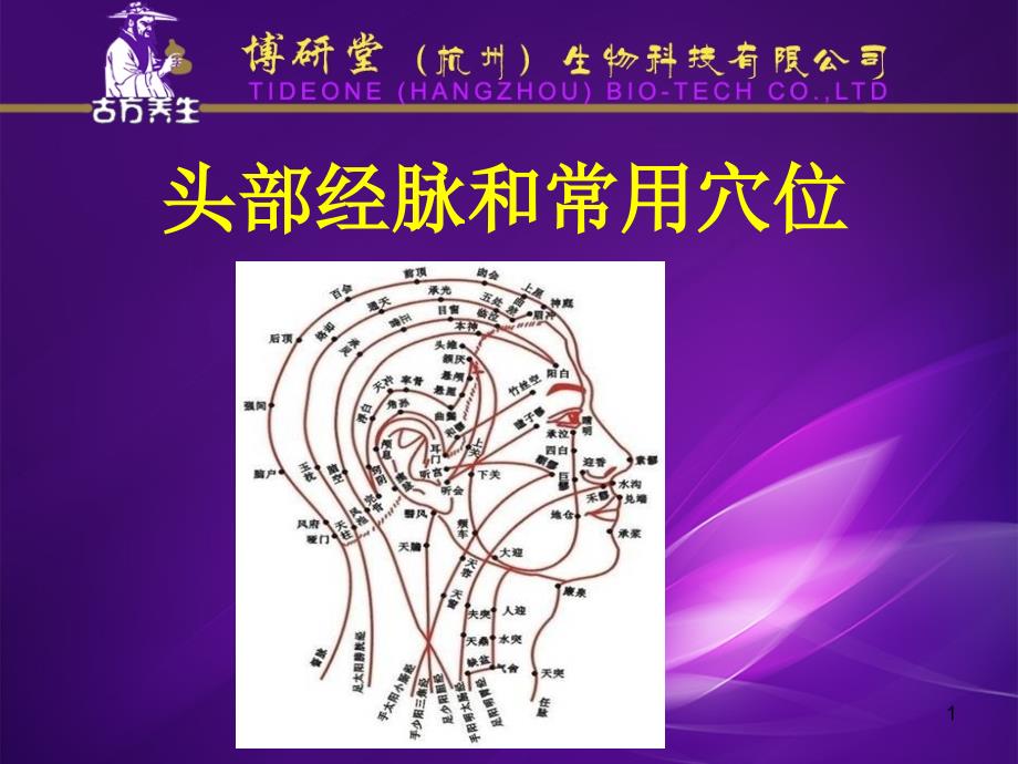 头部常用穴位及经络PPT参考幻灯片_第1页