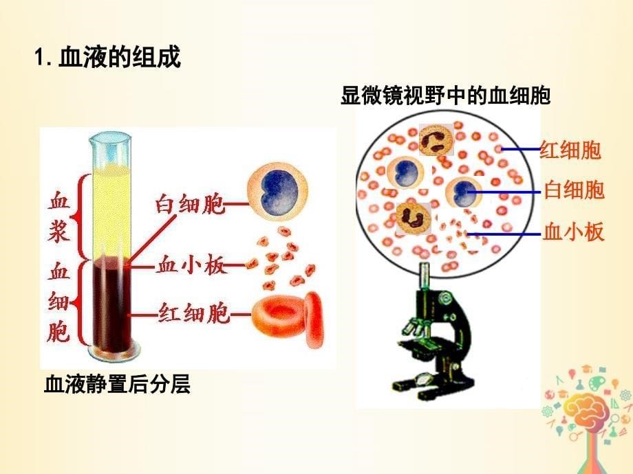 江西吉安高中生物第一章人体的内环境与稳态1.1细胞生活的环境1必修3 1.ppt_第5页