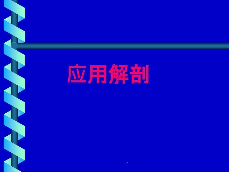 脊神经后支痛的射频治疗ppt课件_第5页