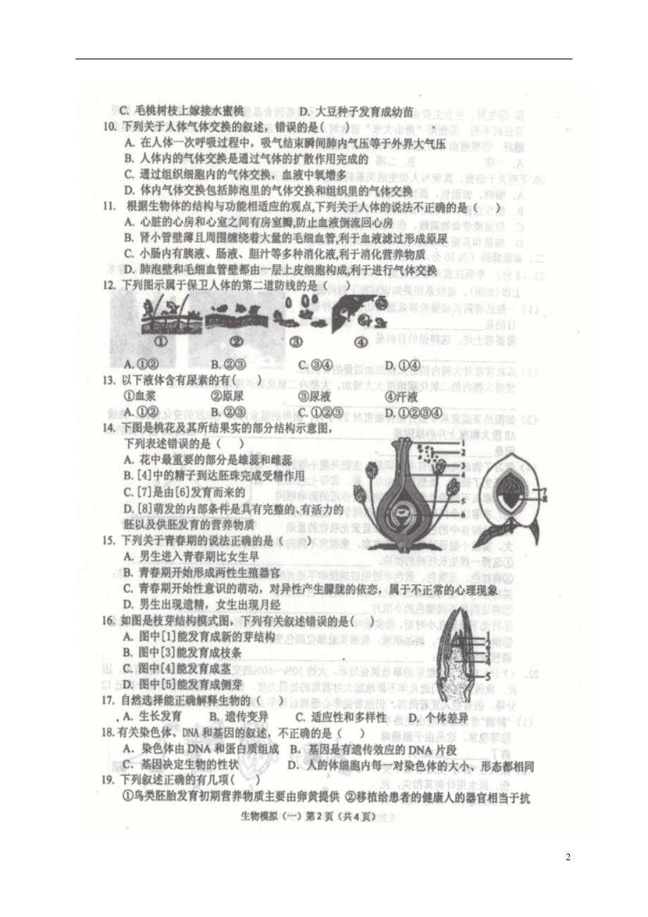 山东单九级生物学业水平模拟测试一 1.doc_第2页