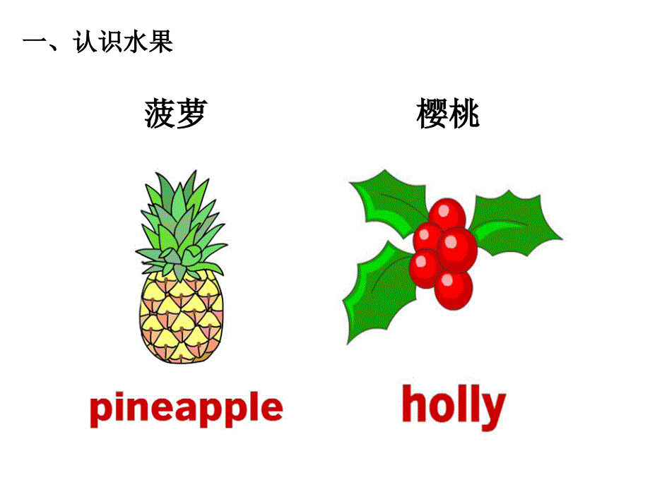 常用英语单词图片大全完全版演示教学_第4页