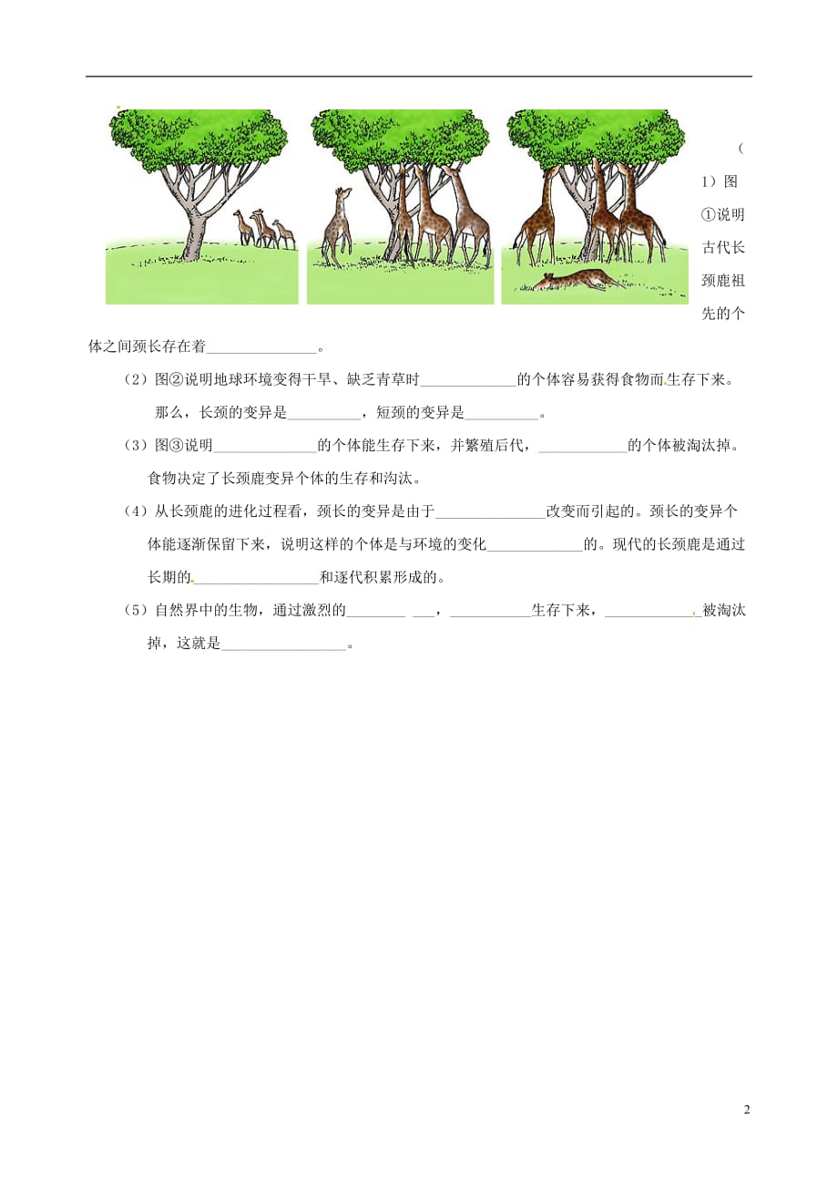 吉林通化外国语中学八级生物下册7.3.3 生物进化原因学案 .doc_第2页