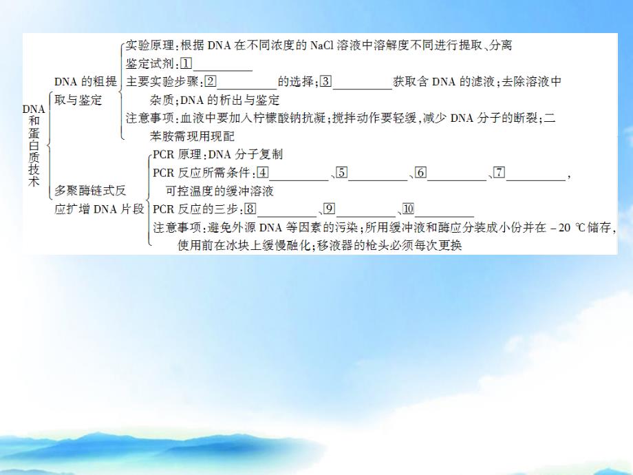 状元之路高中生物第一轮复习五DNA和蛋白质技术六植物有效成分的提取.ppt_第3页