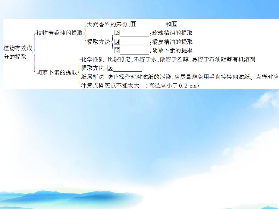 状元之路高中生物第一轮复习五DNA和蛋白质技术六植物有效成分的提取.ppt_第4页