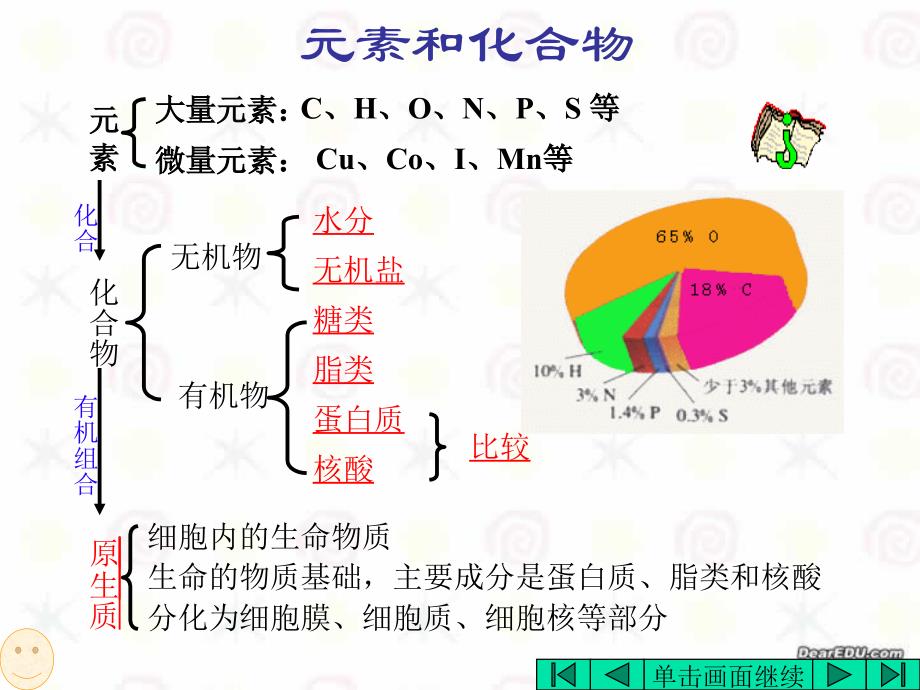 生命的物质基础 .ppt_第4页