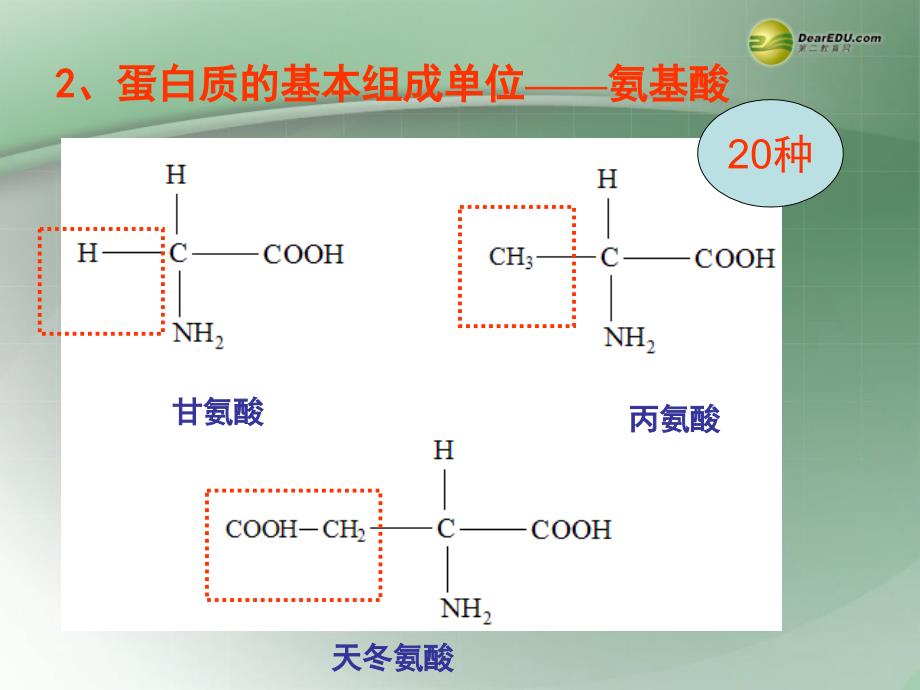 浙江临海杜桥中学高二生物1.3 蛋白质 .ppt_第4页