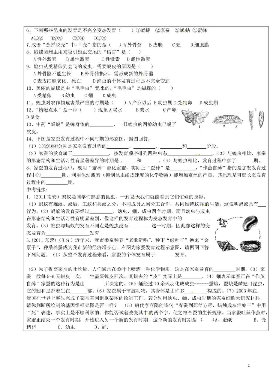 山东广饶丁庄中心初级中学八级生物上册第四单元第二章第1节昆虫的生殖和发育导学案新济南 1.doc_第2页