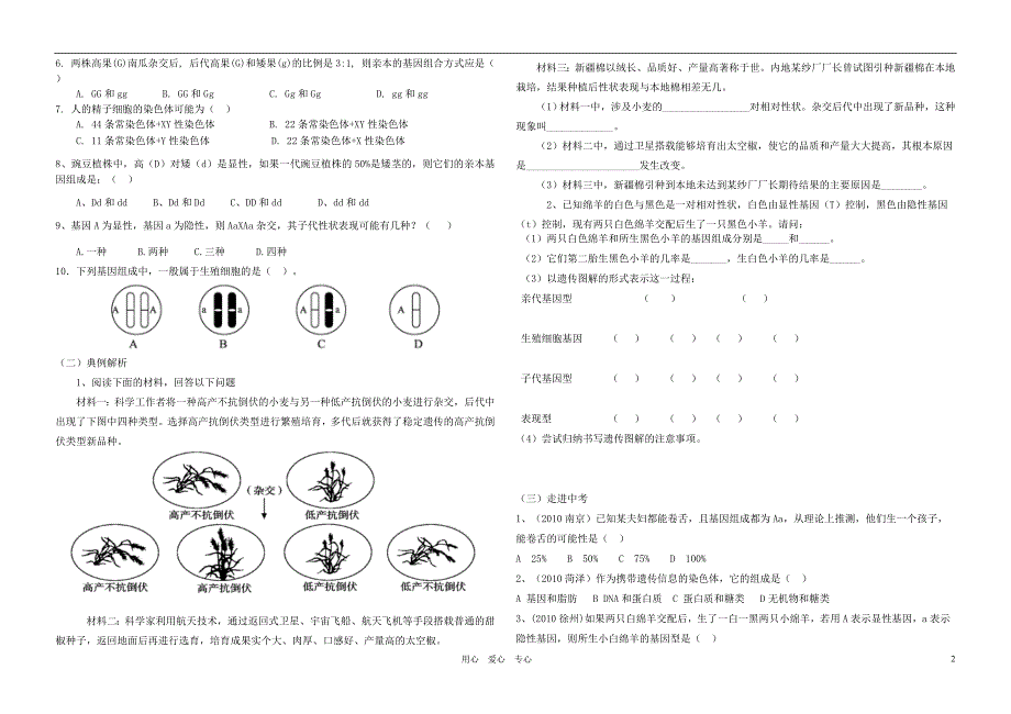 八级生物上册 遗传和变异复习学案 济南.doc_第2页