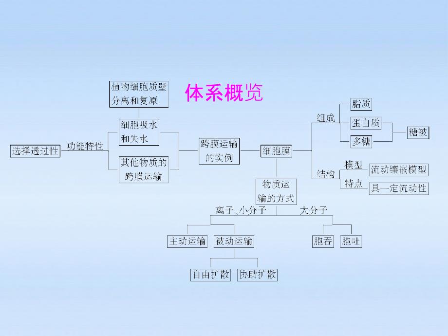 状元之路高中生物第一轮复习细胞质的输入和输出.ppt_第3页