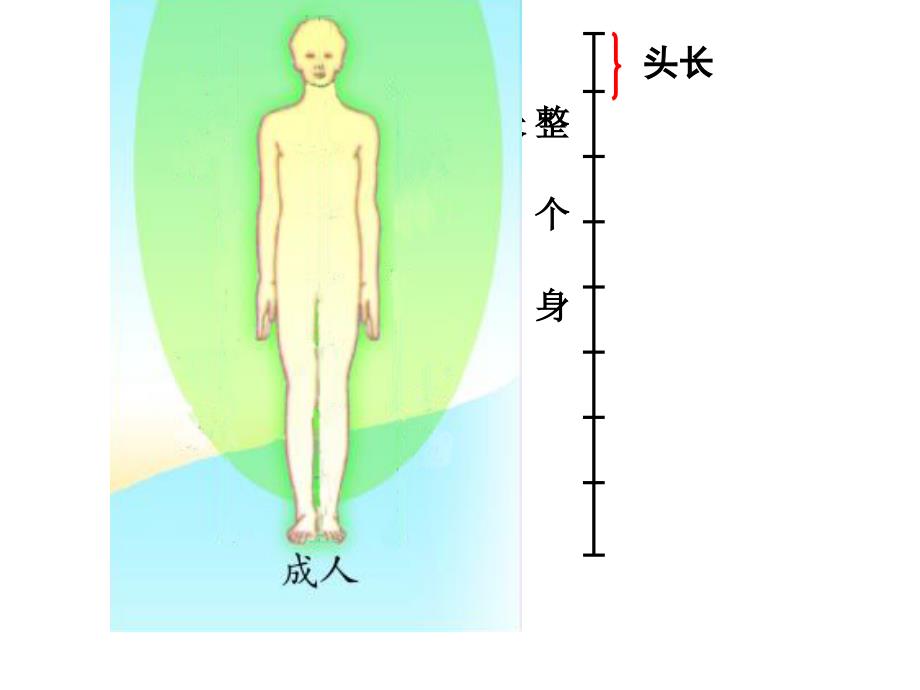 三年级上数学课件分数的初步认识2青岛_第4页